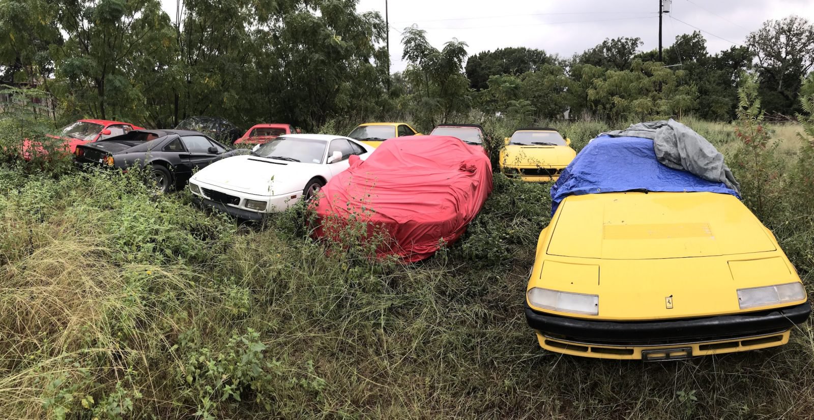 La enfermedad de su coleccionista hizo que terminaran en este campo. ( Silodrome)