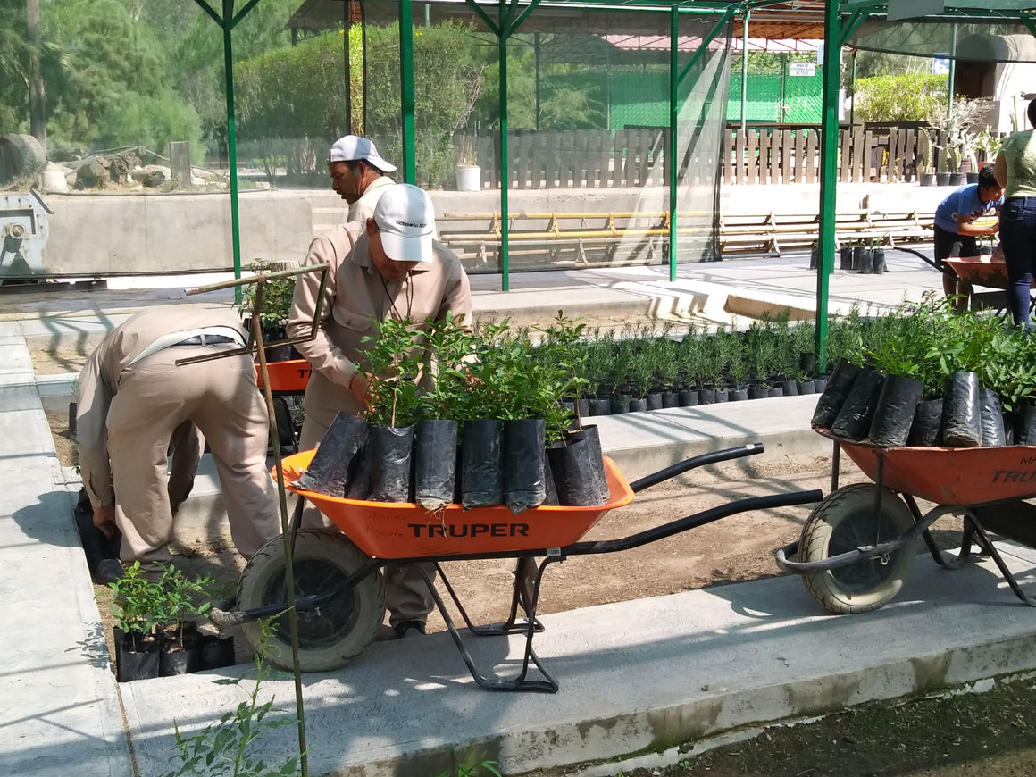 El vivero fue abierto en marzo y se cerrará en septiembre. (Lilia Ovalle)