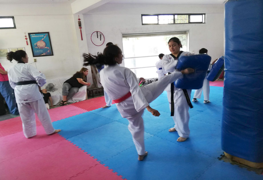El jueves tuvieron un arduo entrenamiento en el Instituto de Taekwondo Olímpico de México, en Gómez Palacio. (Carlos Hernández Castrejón)