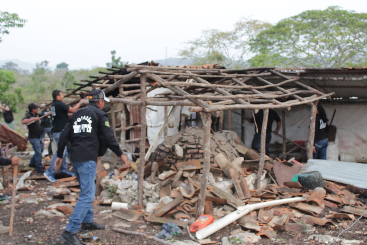 Se recuperaron más de  mil hectáreas ocupadas y se vincularon a proceso 120 personas.