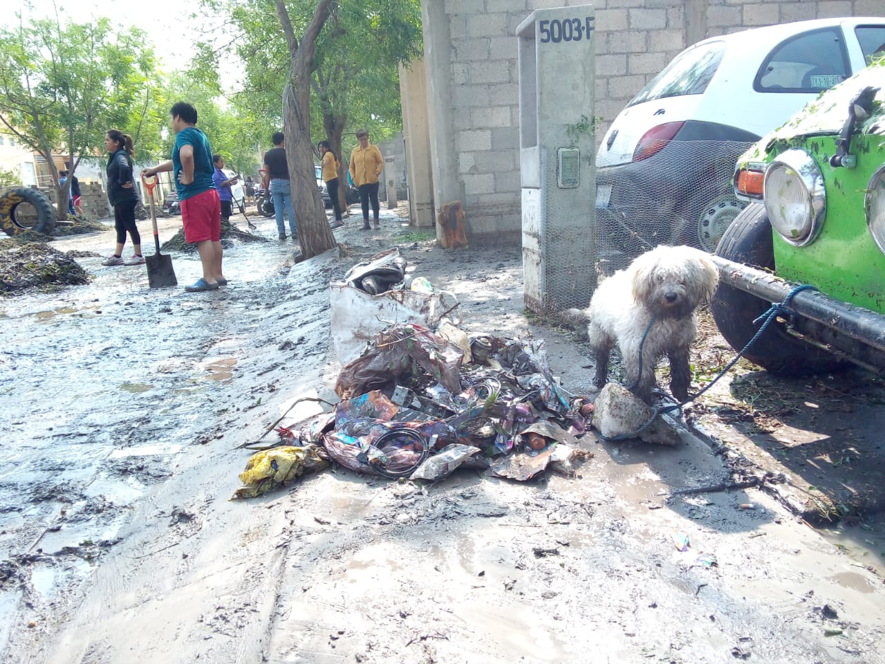 La Secretaria de Desarrollo Social y Humano, Enriqueta Sánchez Flores, informó que sigue activado el PLAN D-N-III (Apolonia Amayo)