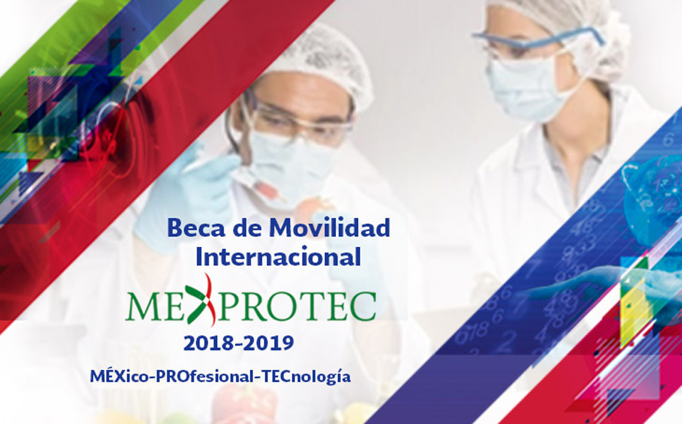 La Secretaría de Educación Pública otorga 200 becas MEXPROTEC. (Cortesía Subsecretaría de Educación Superior)