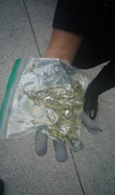 A los hombres se les decomisó 300 kilos de marihuana. (Especial)