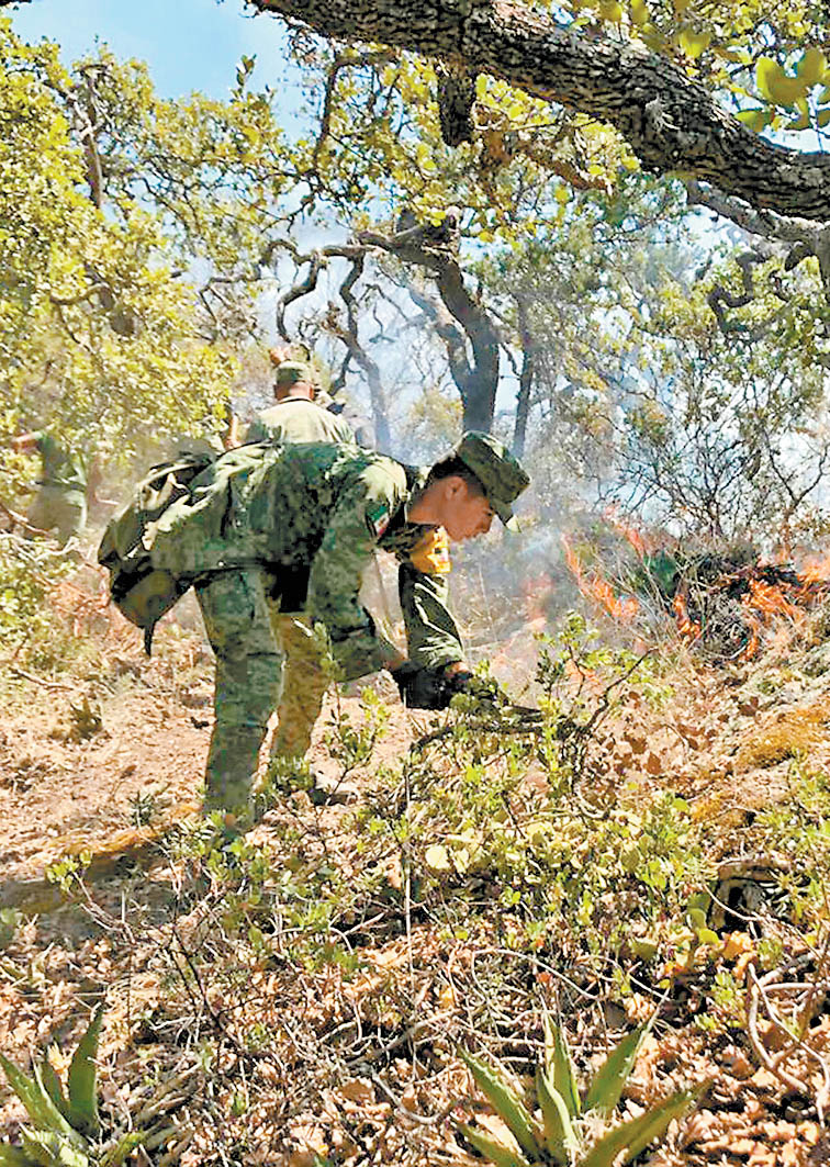 En los trabajos participaron 12 mil 117 soldados. (Especial)