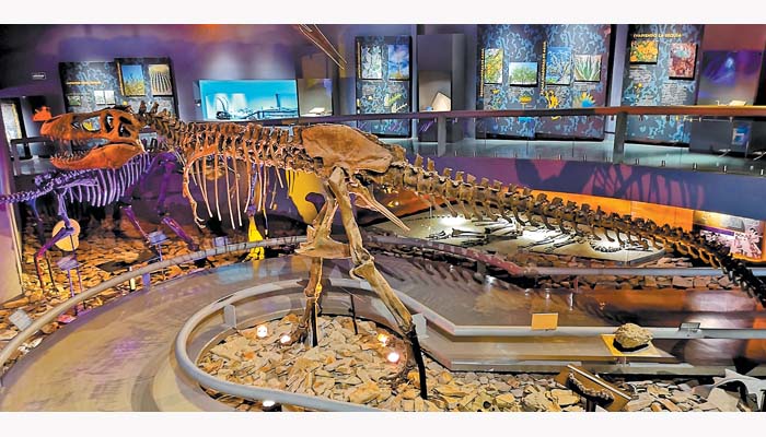 Además de ofrecer las réplicas de dinosaurios, cuenta con un laboratorio en el que se llevan a cabo trabajos de investigación y catalogación.  Jesús A