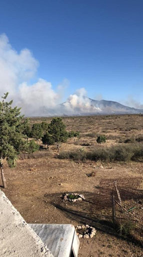 El incendio se presenta en el paraje El Pino. (Cortesía)