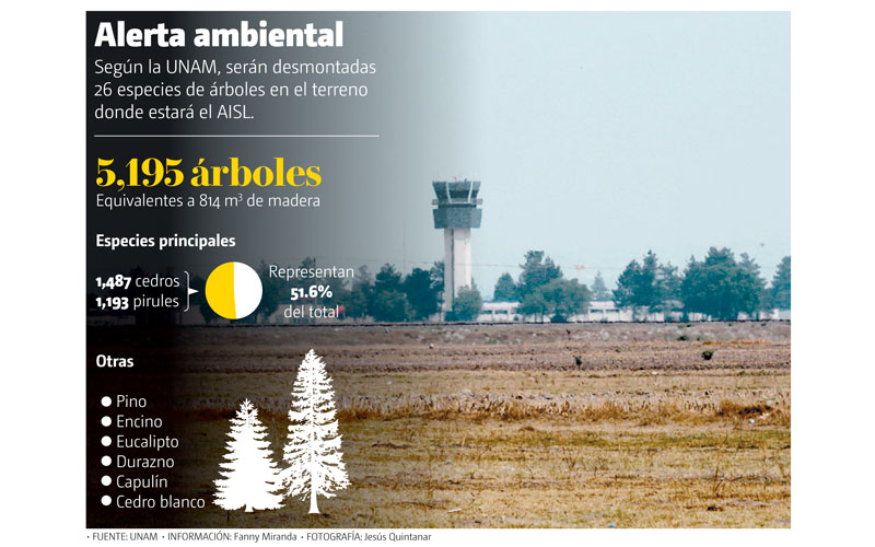 Según la UNAM, serán desmontadas 26 especies de árboles en el terreno donde estará el AISL. (Jesús Quintanar | Gráfico: MILENIO)