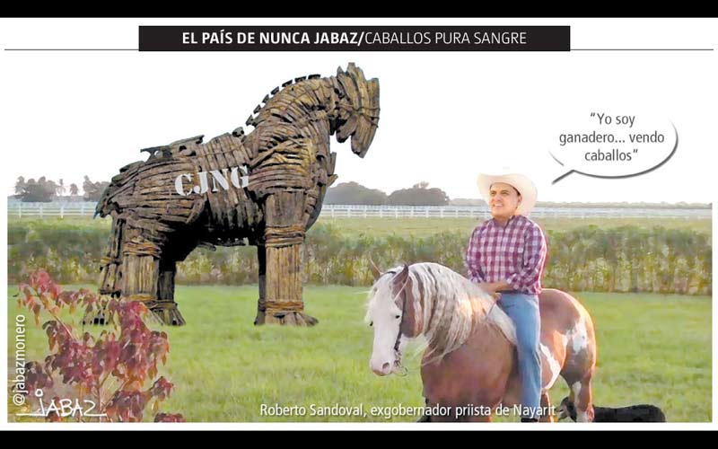 Caballos pura sangre