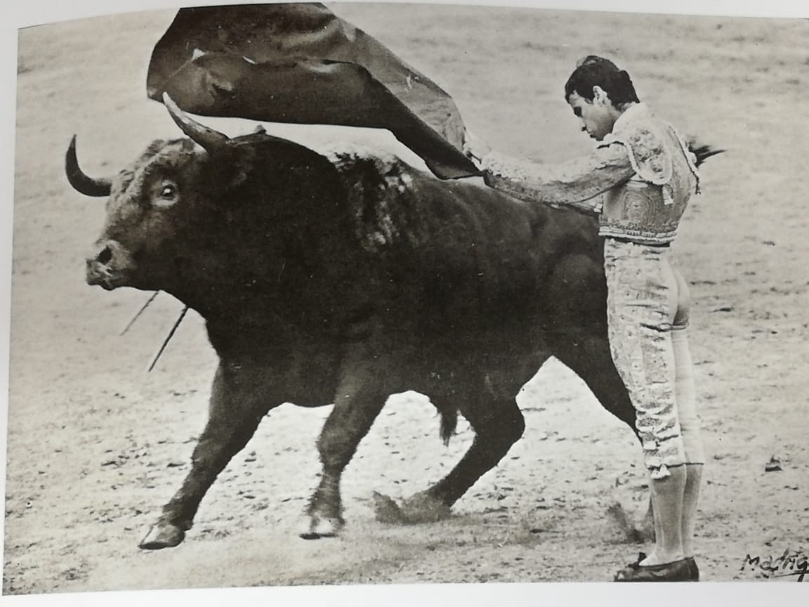 Se cumplen 48 años del debut de Eloy Cavazos en Las Ventas de Madrid (Especial)