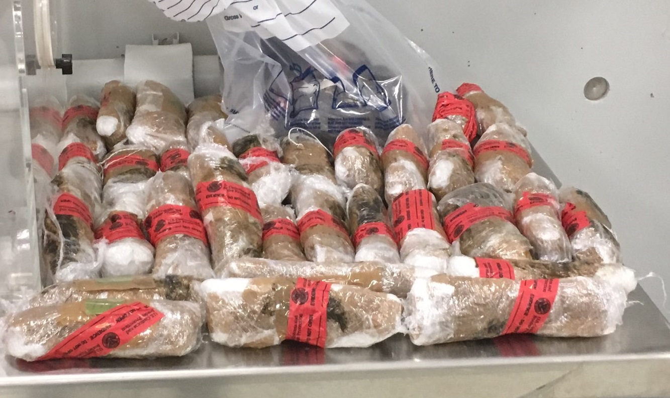 Decomiso de droga (Foto/CORTESÍA)