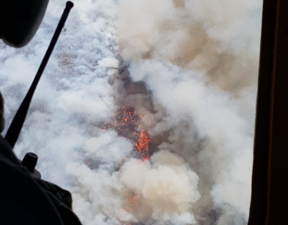 (Foto: Roberto Alanís).