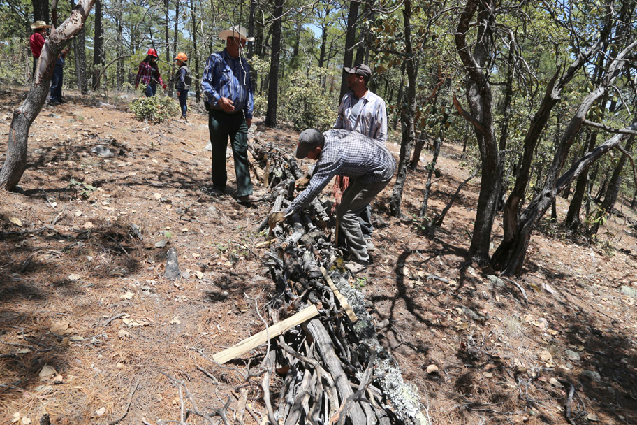 Se realizan hechas de madera que sirven para evitar incendios forestales y crear represas y retener agua de lluvia. (Martín Piña)