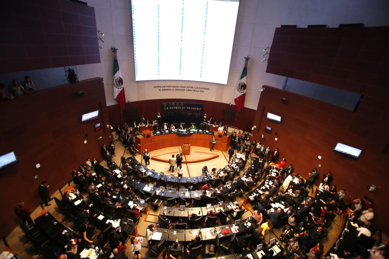 Senado de la República (Ariana Pérez)