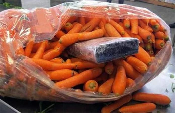 Ocultaban la droga en carga de zanahorias (Foto/CORTESÍA)