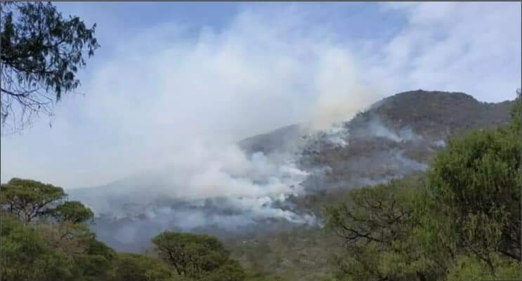 El incendio amenaza la Reserva de la Biósfera. (Estrella Álvarez(