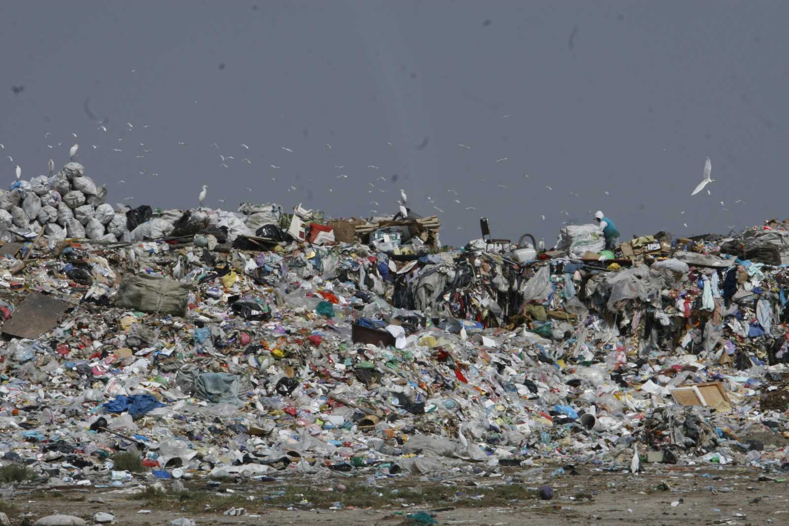 En México una persona produce casi un kilo de residuos sólidos cada día/Especial.
