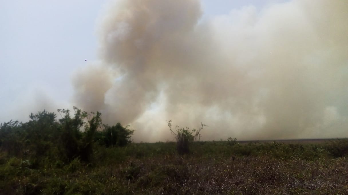 Cancelan vuelos en Acapulco por incendio cercano al aeropuerto. (Javier Trujillo)