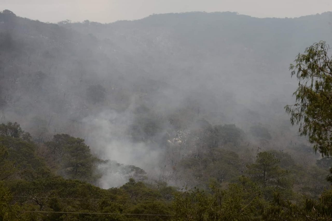 El incendio ha generado un daño de más de 2 mil 400 hectáreas en el estado (Estrella Álvarez).