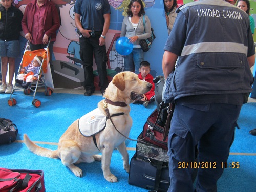 El can realizó diversos servicios a la nación. (Especial)