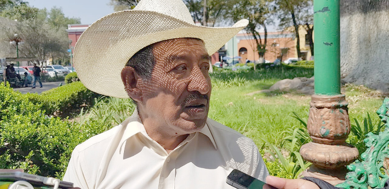 Las más de cinco mil hectáreas que comprenden este sembradío se han visto afectadas (Especial)