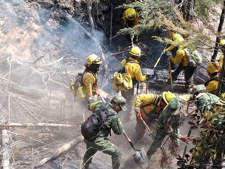 Los incendios en Durango han consumido más de de 17 mil hectáreas. (Especial)