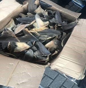 Las aletas fueron aseguradas en la aduana de Manzanillo. (Especial)