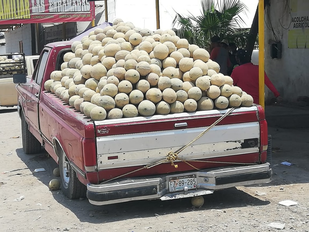 Este lunes el precio del melón bajó de 3.70 a 2 pesos. (Jorge Maldonado)