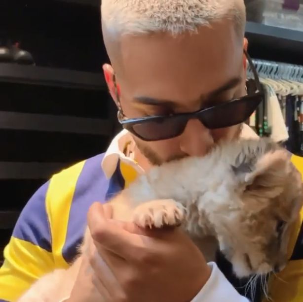 Maluma cierra su Intagram tras acusaciones de tráfico de animales