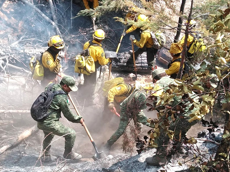 Adempas de bomberos y brigadistas voluntarios, el ejército colabora con 469 elementos. (Especial)