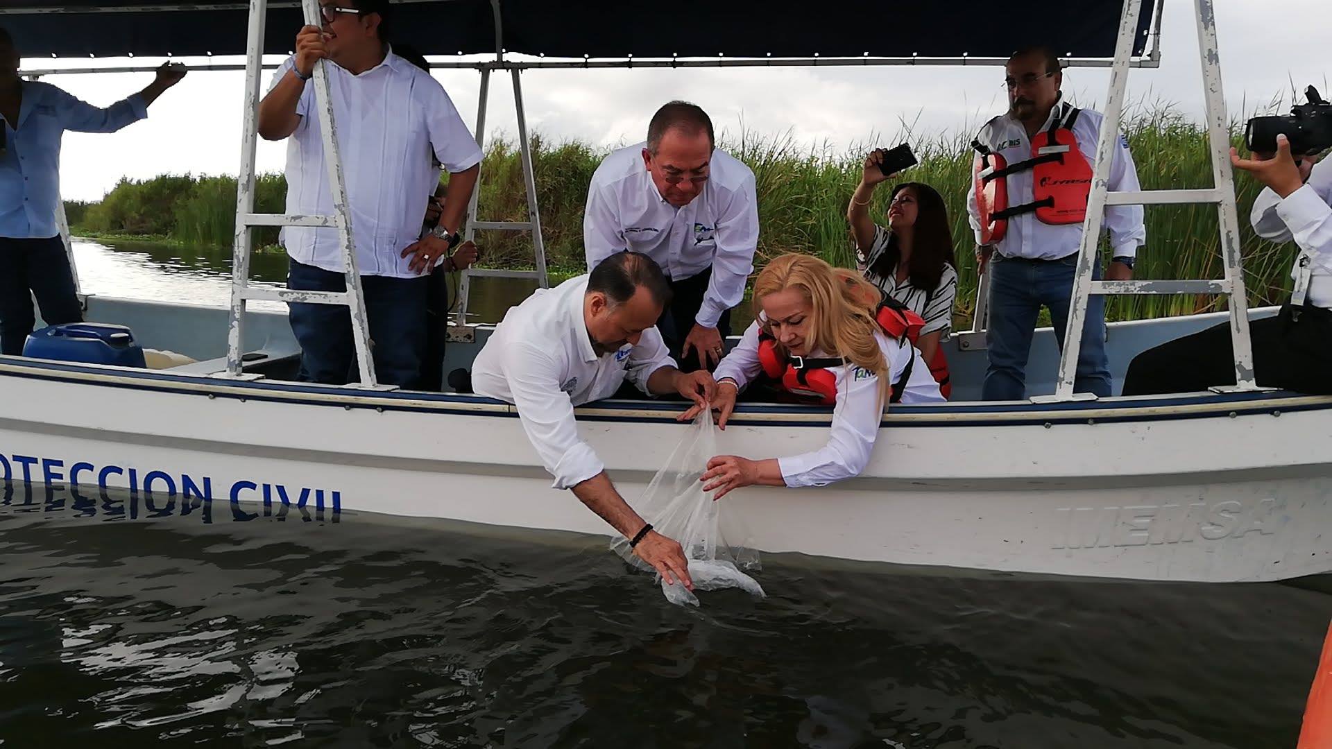 Cultivan tilapia  en laguna Champayán en Altamira (Foto/Jesús Alberto García)