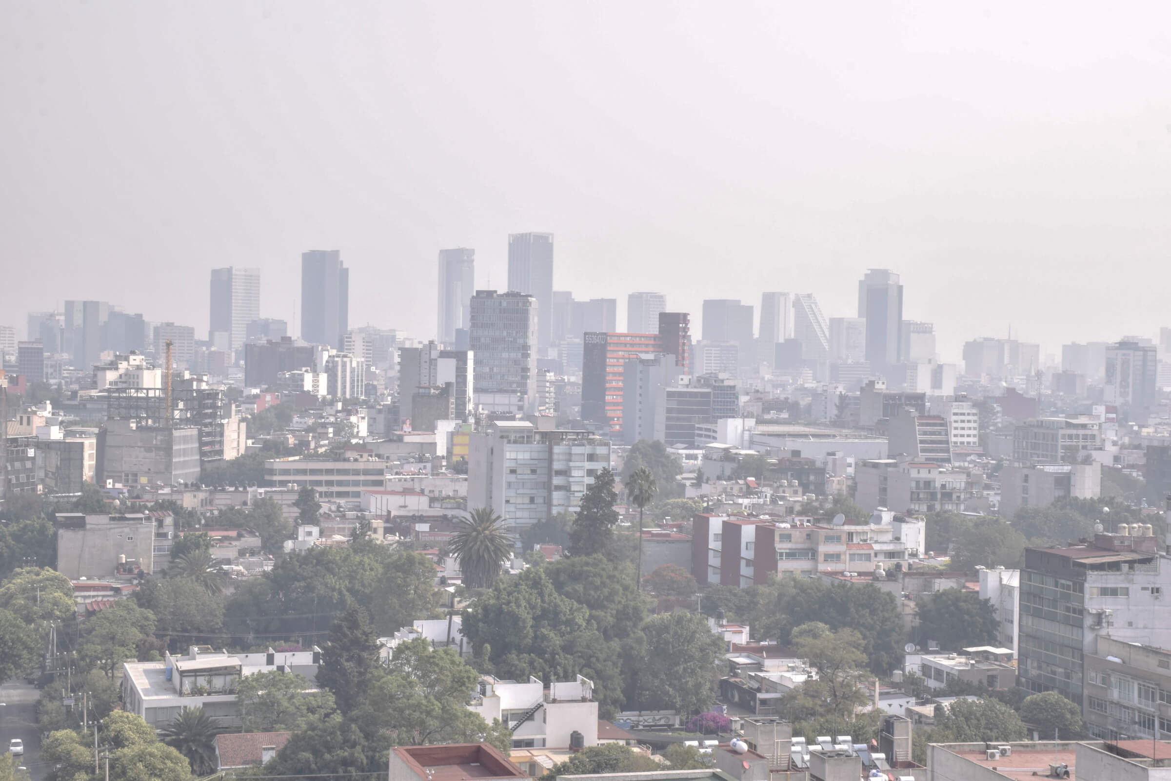 Dia Mundial del Medio Ambiente. Notimex