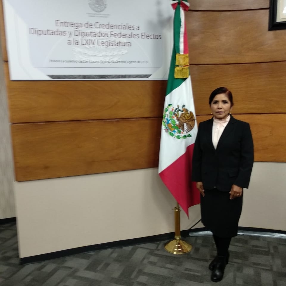 La diputada por Morena fue asaltada en calles de la colonia Condesa cuando salía de un banco. (Graciela Sánchez Ortiz)