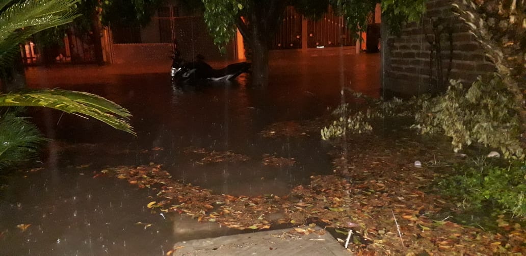 Lluvias afectan a leoneses
