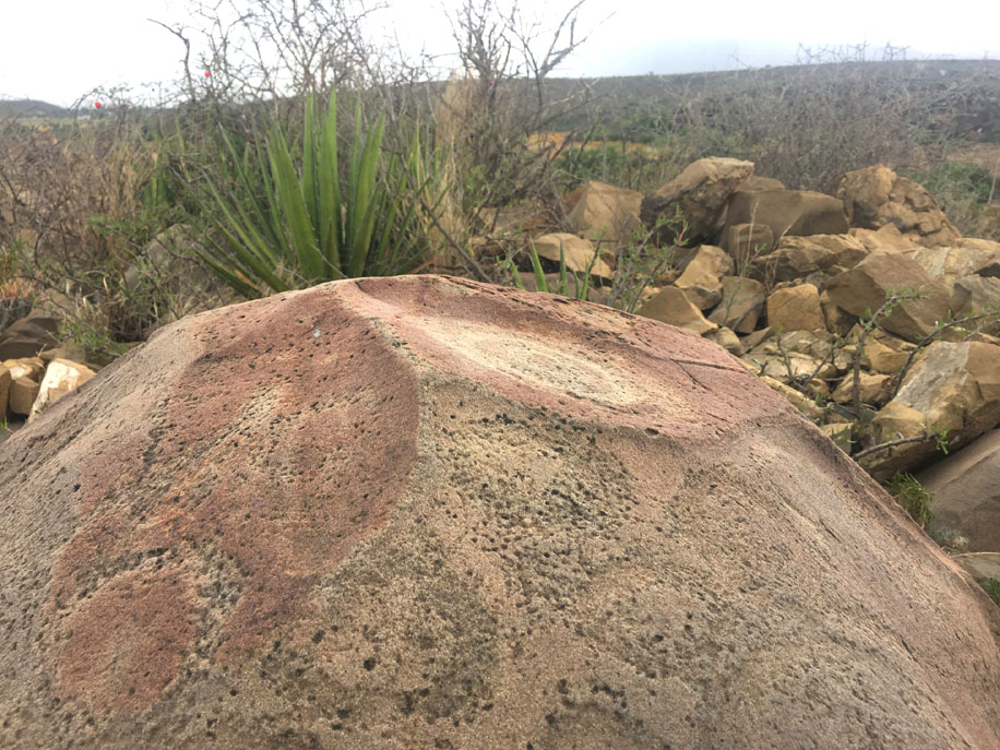 El pasado martes 4, la artista orinó sobre un petrograbado en ubicado en General Cepeda, Coahuila. (Cortesía)