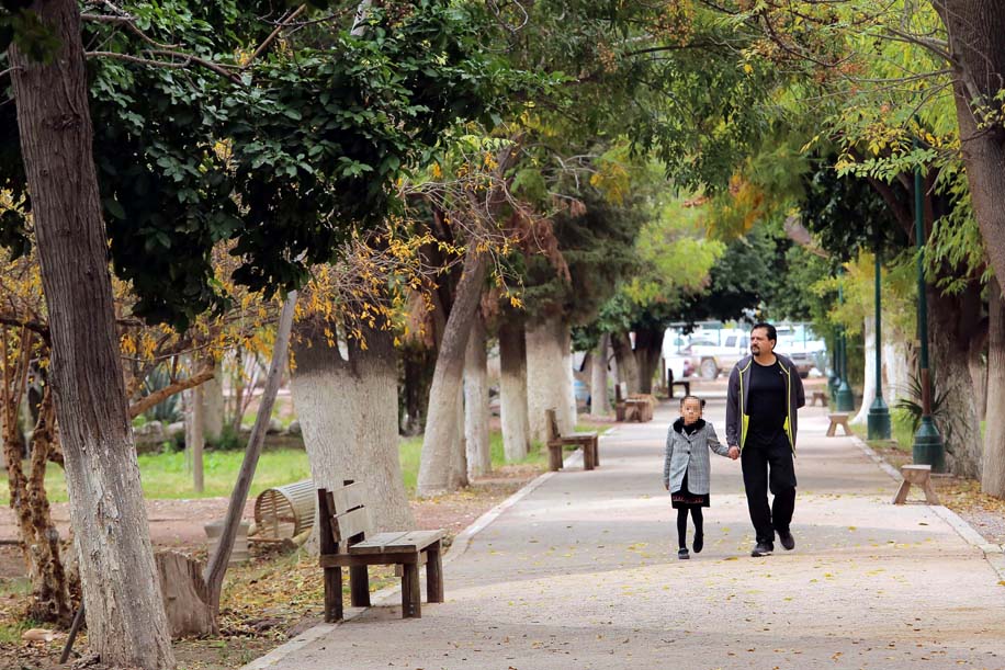 Desde hace quince días que se realizan actividades de reforestación y educación ambiental. (Milenio Digital)