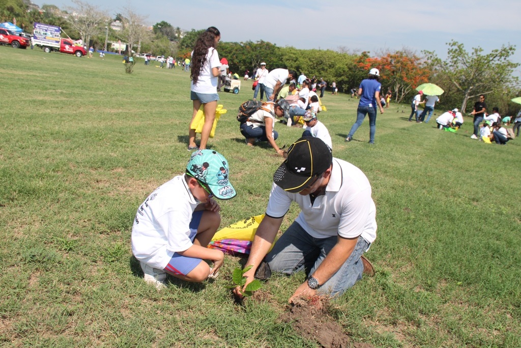 Siembran un árbol en Tampico.