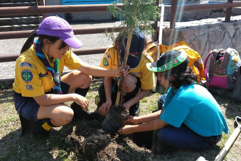 Campaña de reforestación en Ecoparque metropolitano (Especial)