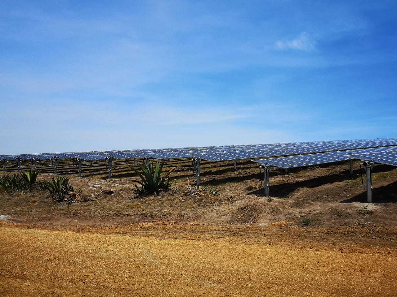 Parque fotovoltaico Guajiro 2 de Atlas Renewable Energy (Yeshua Ordaz)