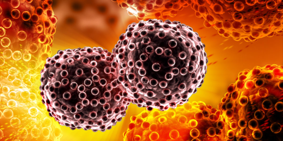 El fármaco reduce los tumores y detiene la metástasis. (Shutterstock)