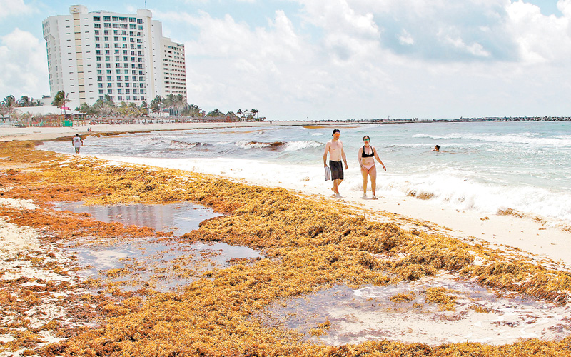 Turistas recorren la franja costera del caribe mexicano. (Alfonso Cupul/EFE)