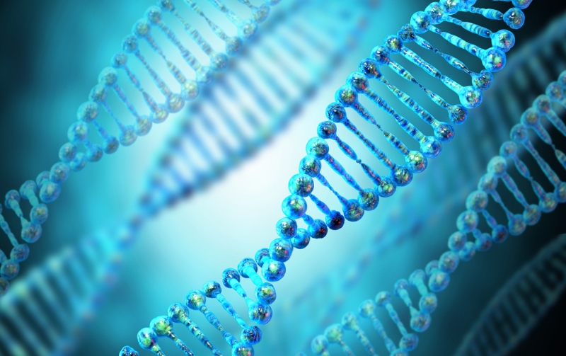La nueva técnica funciona como un "pegamento molecular". (Shutterstock)