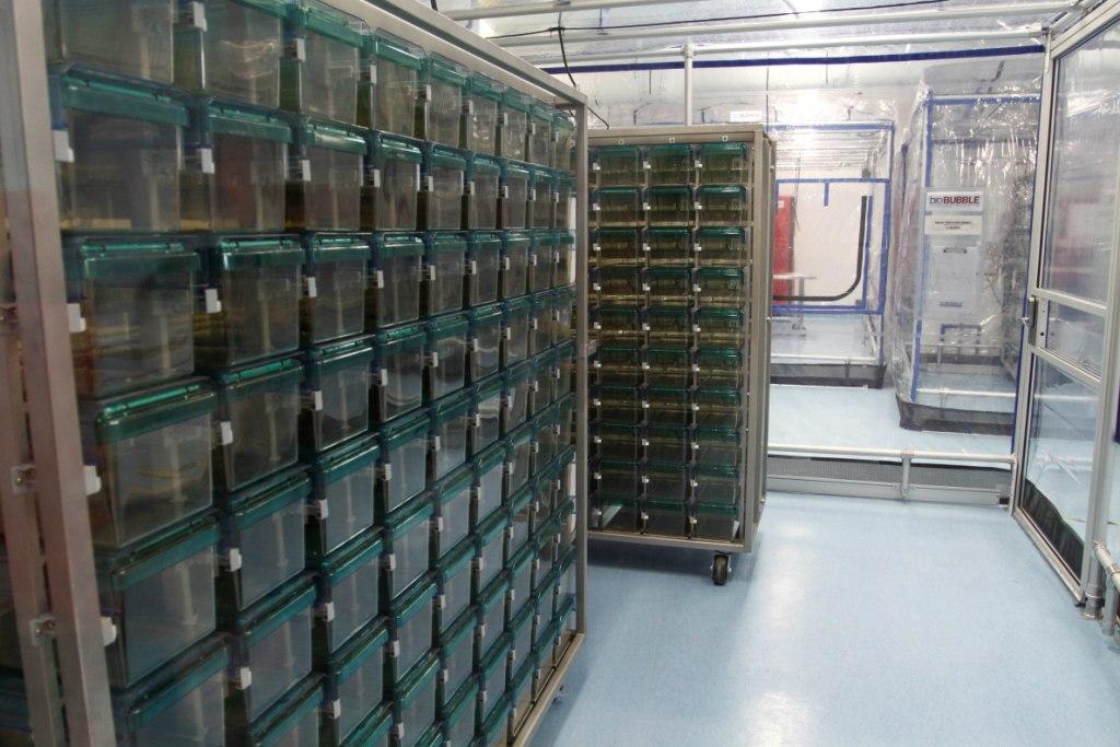 Bioterio del Centro de Investigación y de Estudios Avanzados (Cuartoscuro)