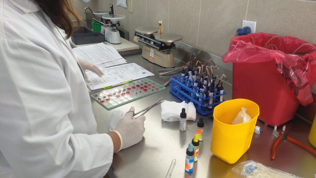 Cada año se extraen 90 mil unidades de sangre