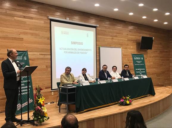 Guanajuato es uno de los  estados donde se atienden más casos por picaduras de animales ponzoñosos