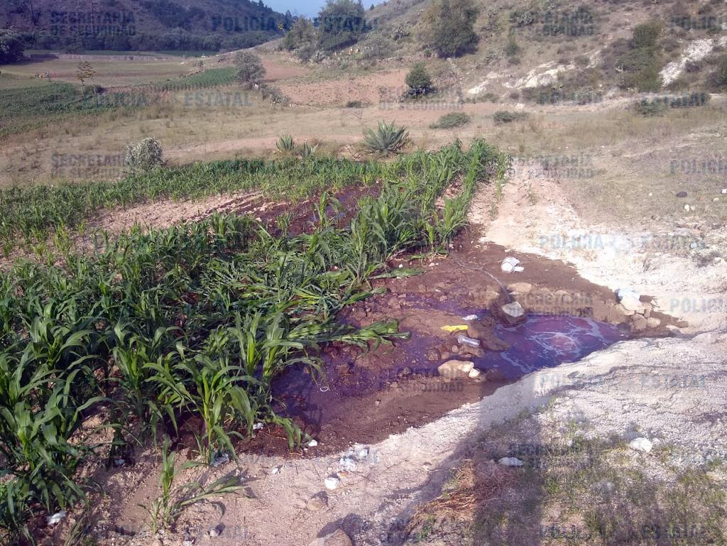 Los uniformados dieron seguimiento a una llamada de alerta al C5. (Especial)