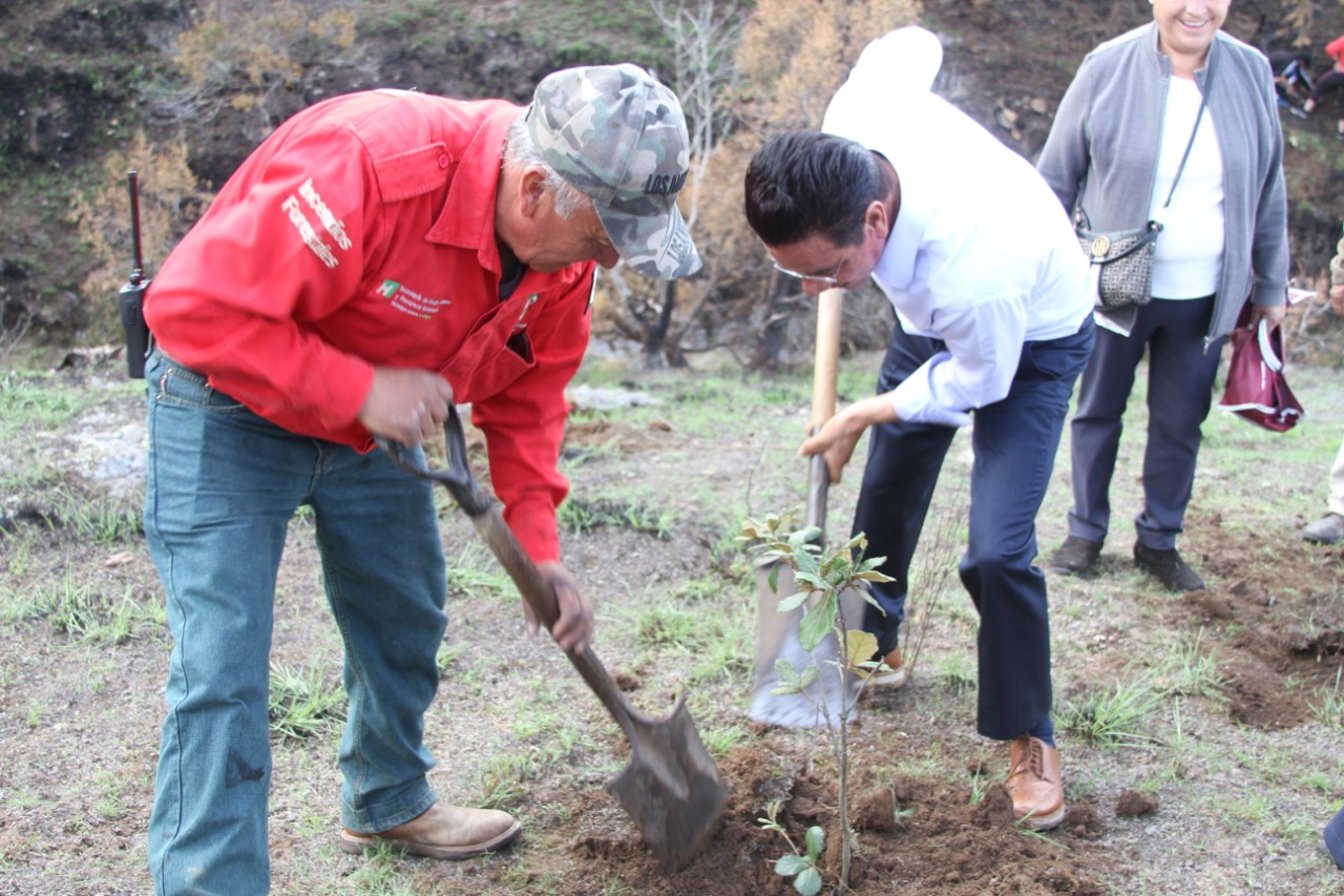 El secretario de Medio Ambiente, Benjamín Rico, encabezó la reforestación en Camelia. (Cortesía)