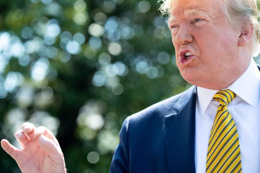 Donald Trump (AFP)