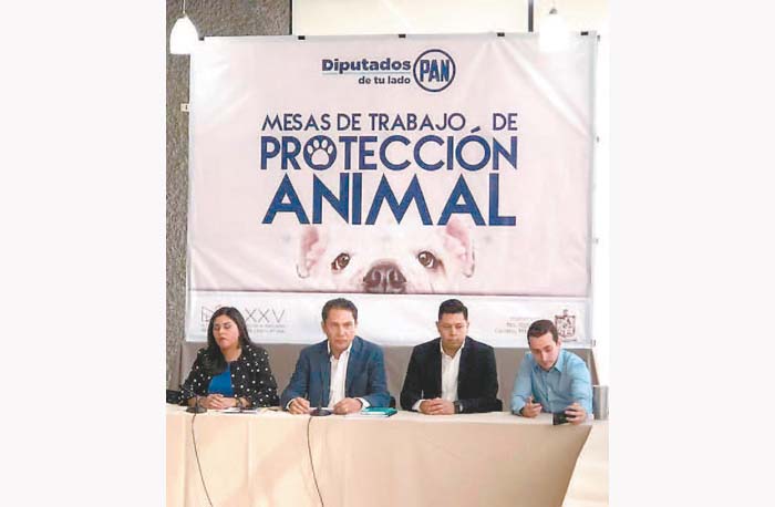El legislador ha encabezado distintas mesas de análisis para dicha ley. Especial