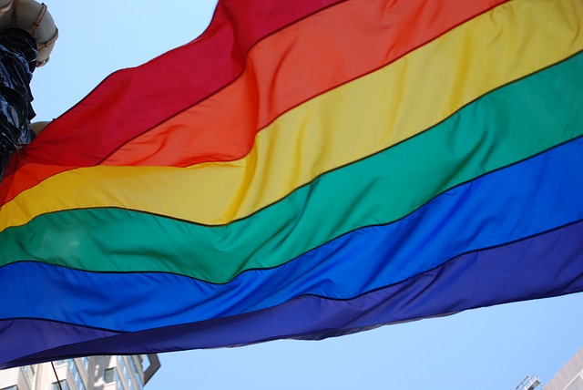 La CdMx es una de las entidades donde ocurren más asesinatos contra la comunidad LGBT. Foto: Pixabay