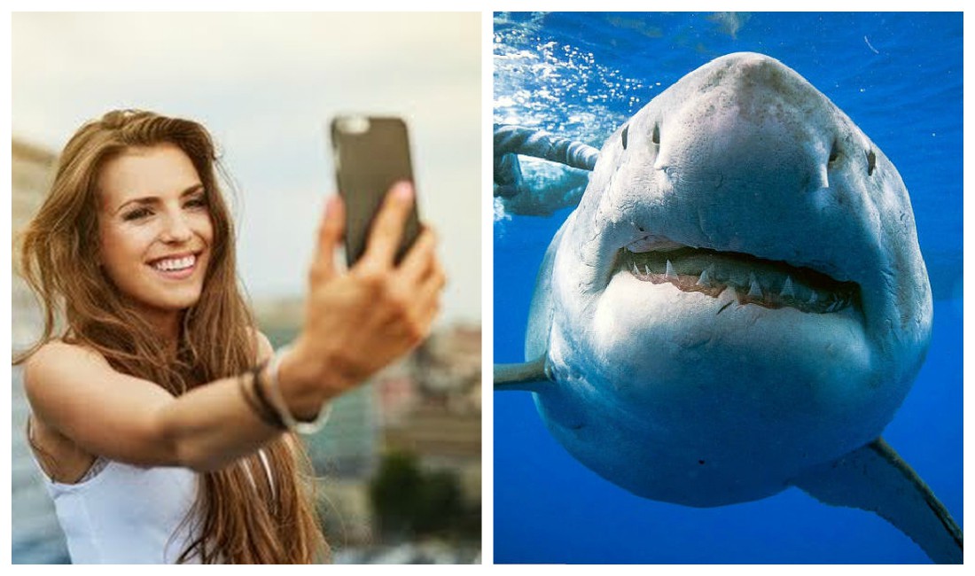'Selfies' causan cinco veces más muertes que ataques de tiburones (Especial).